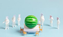 娱乐营销吃瓜,吃瓜群众的狂欢盛宴